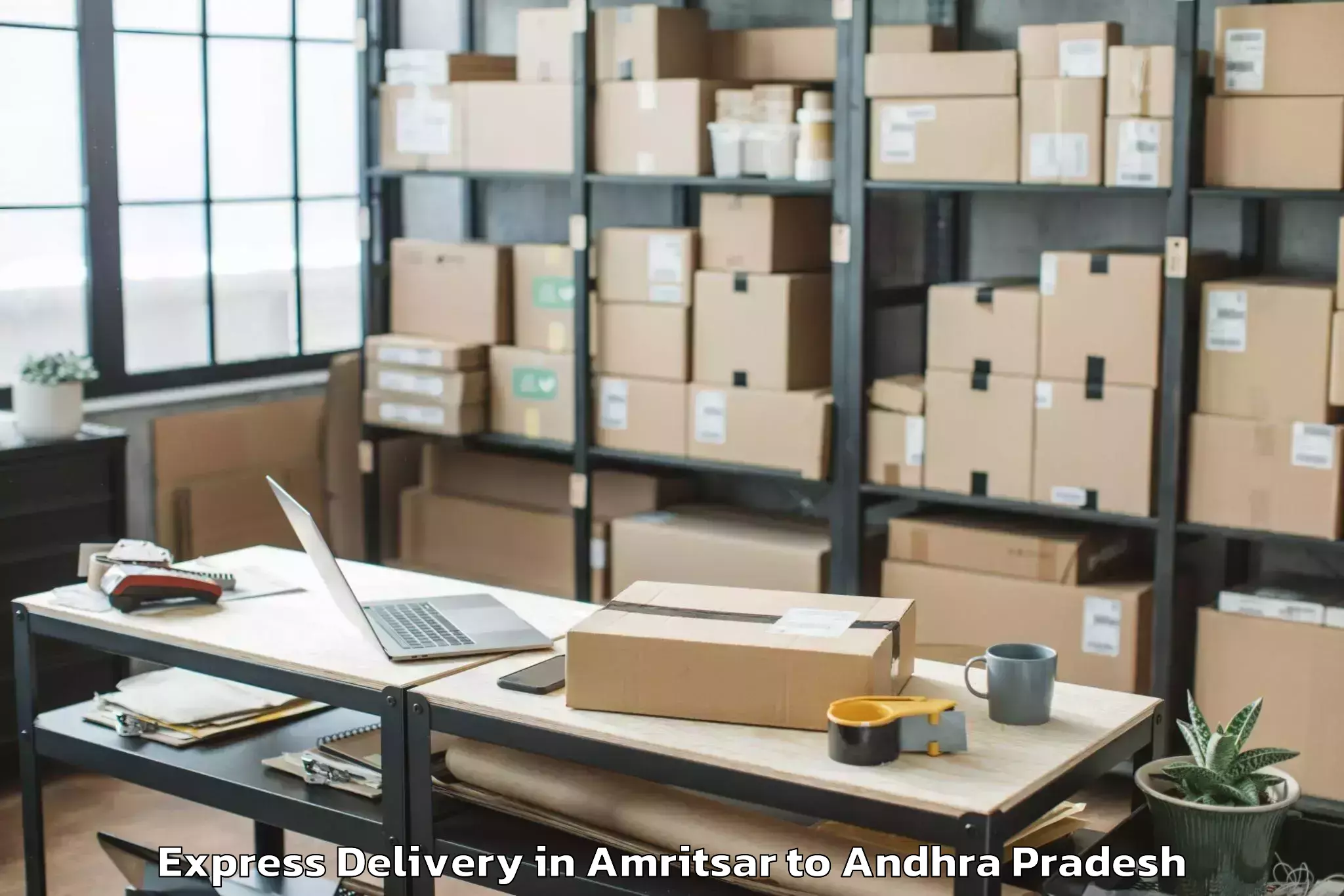 Get Amritsar to Thamminapatnam Express Delivery